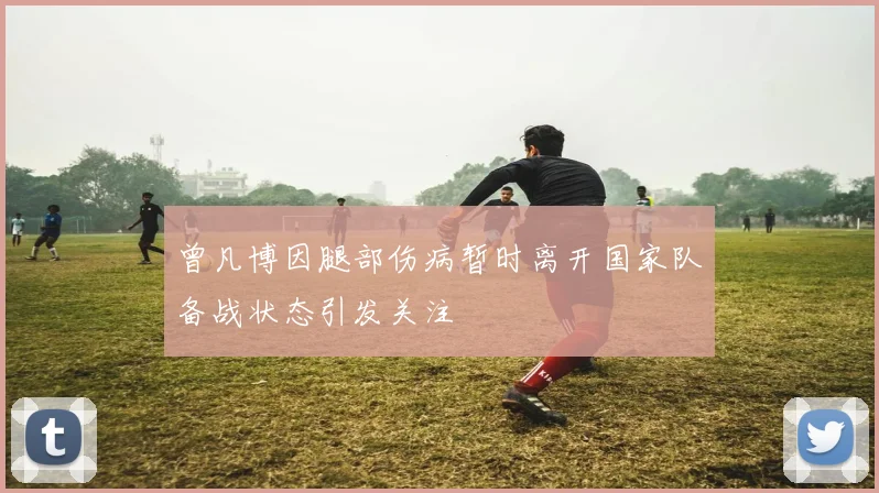 曾凡博因腿部伤病暂时离开国家队备战状态引发关注
